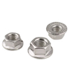 Hexagon Flange Nut